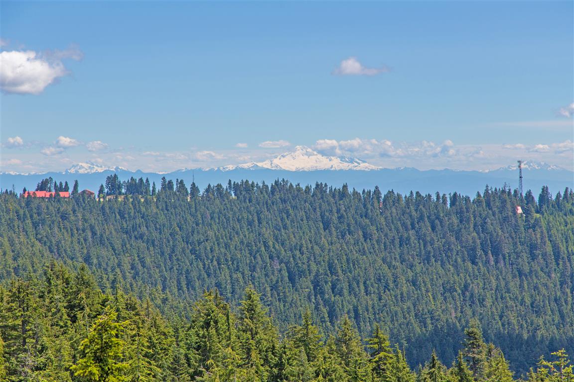 View of Mount Baker from Dog Mountain