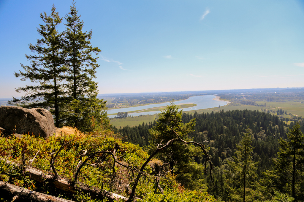 High Knoll