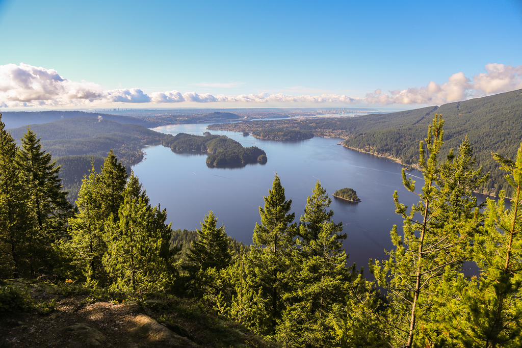 Best view from Diez Vistas Trail