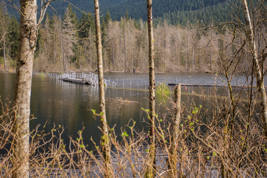 Floating Bridge at flooded Buntzen Lake