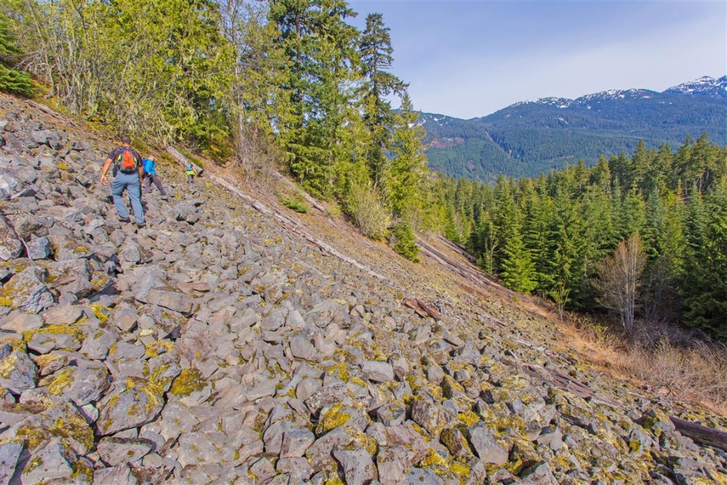 Boulder Field