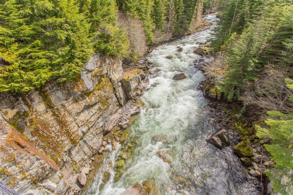 Cheakamus River