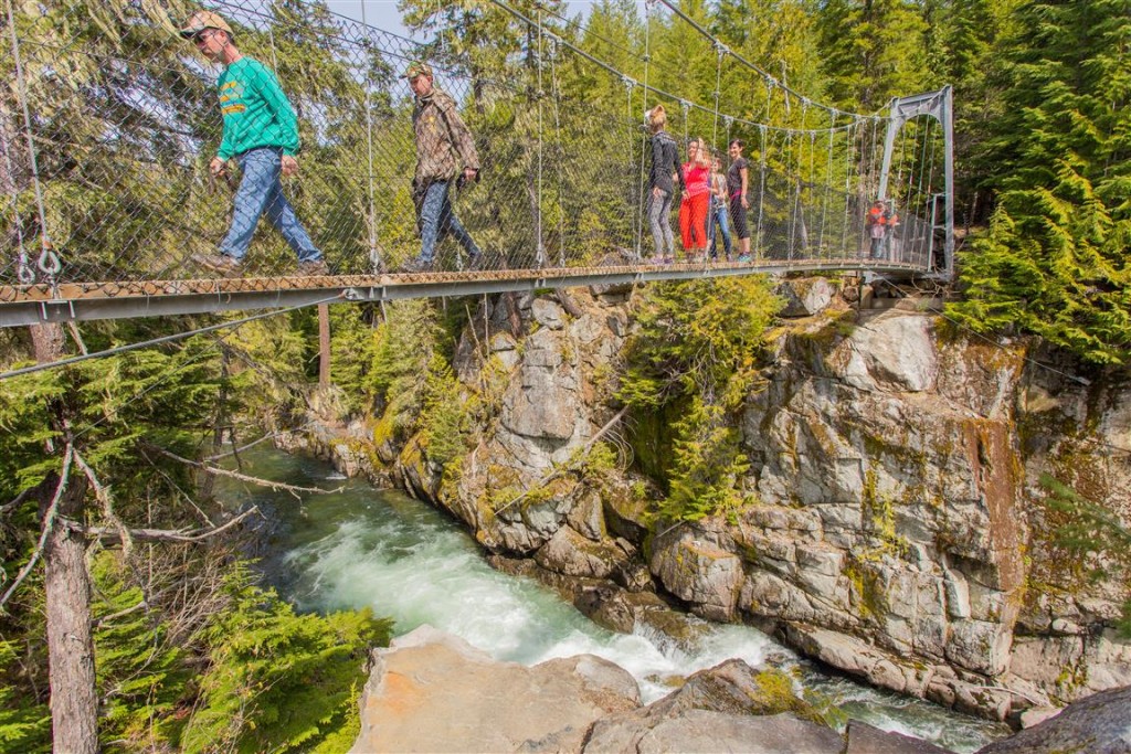 Cheakamus River Suspension Bridge