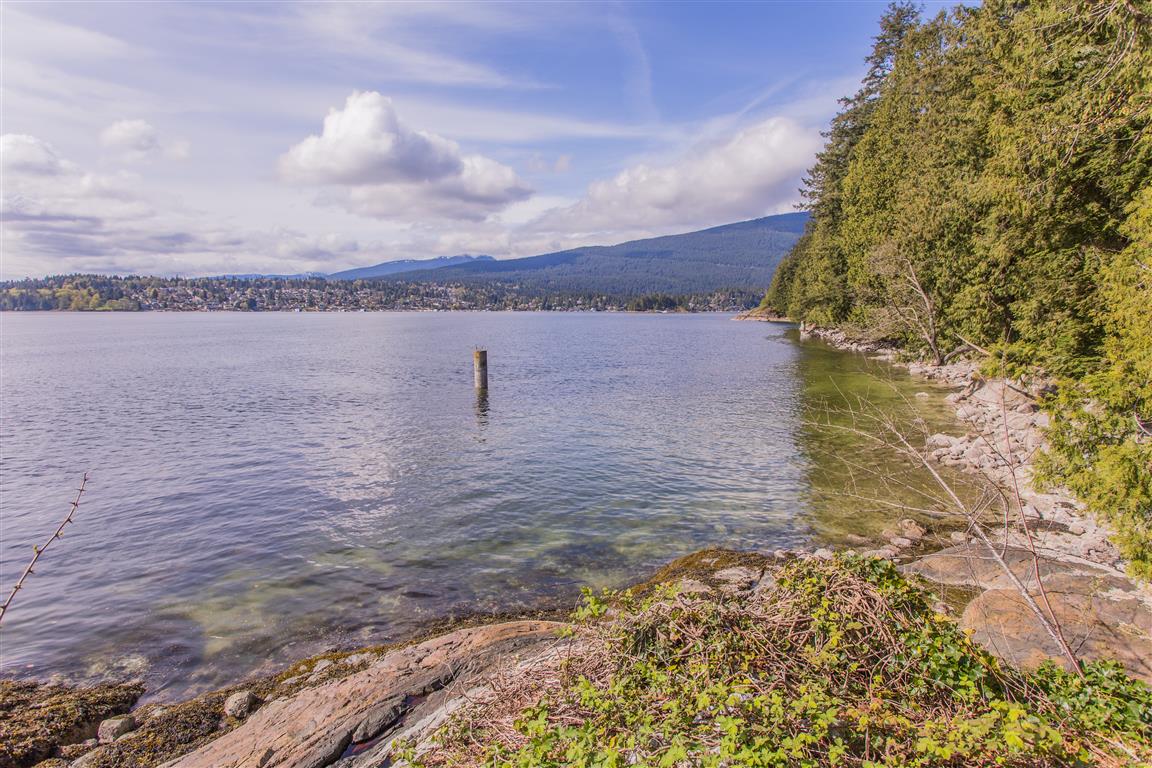Shoreline view