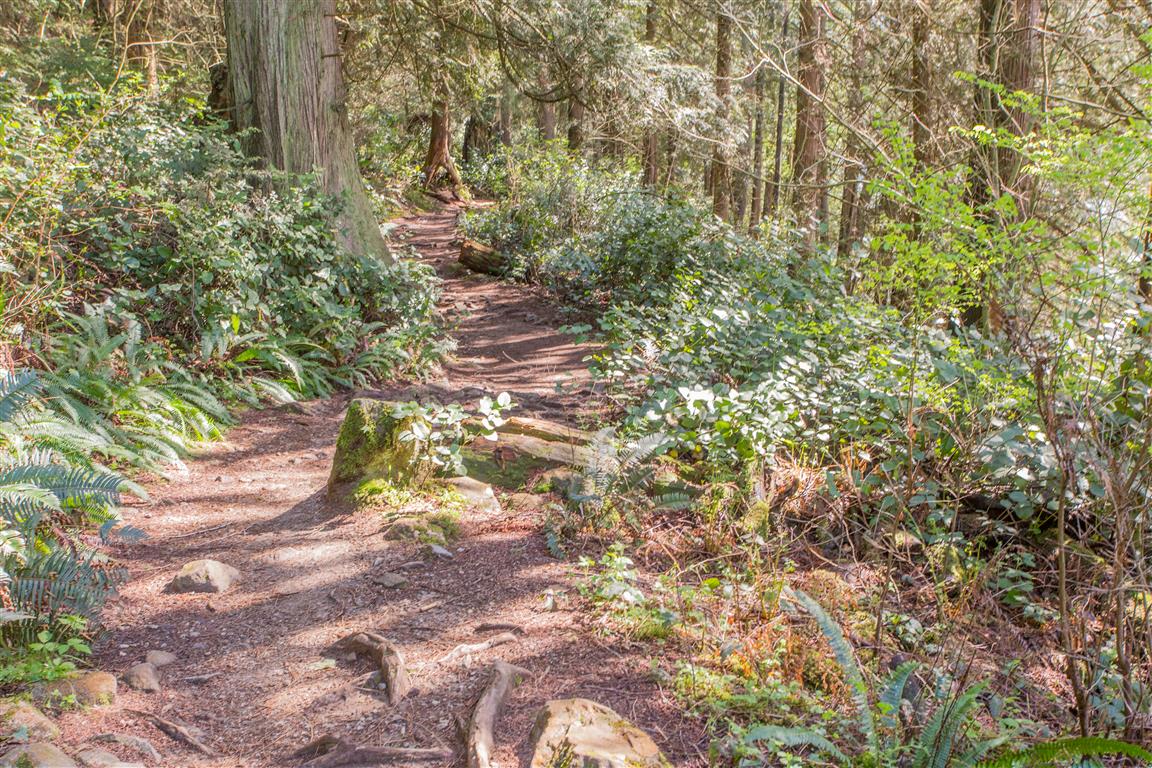 Trail picture