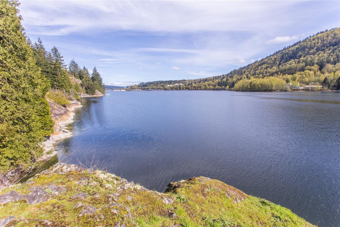 View from Burns Point