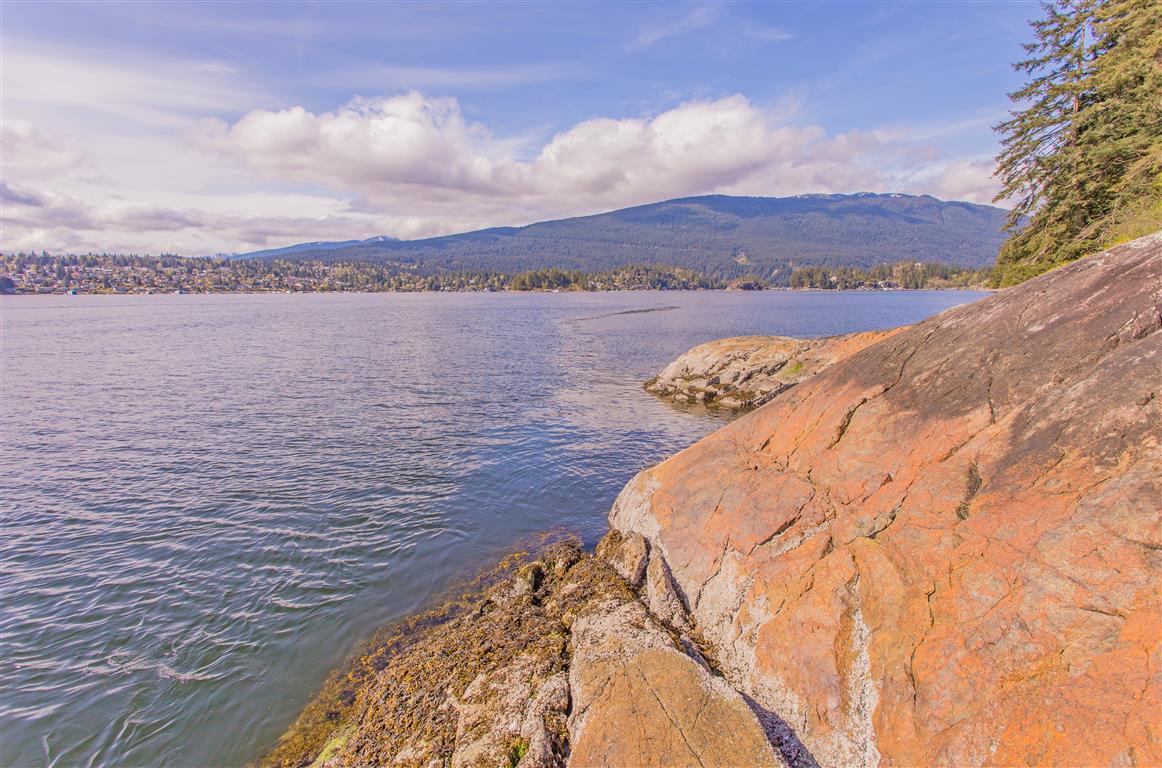 View from Cod Rock