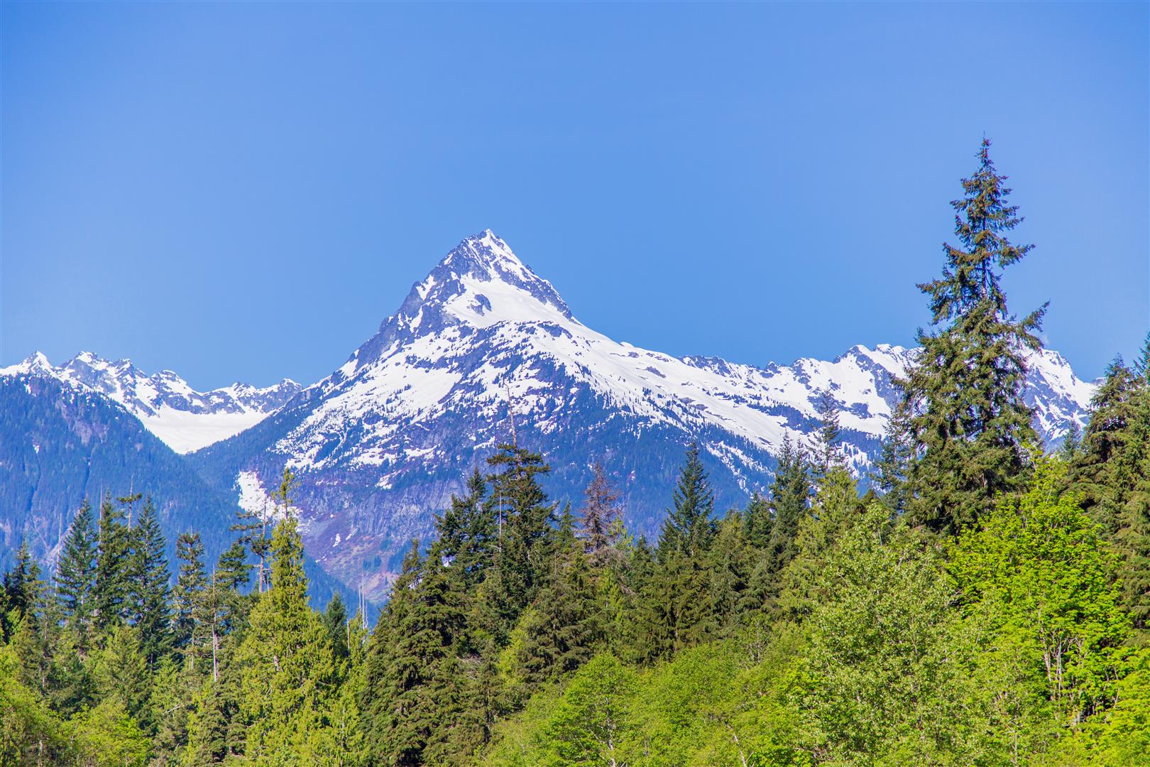 Mt. Alpha