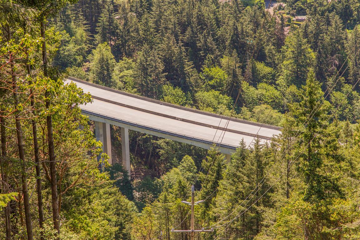 Nelson Creek Bridge