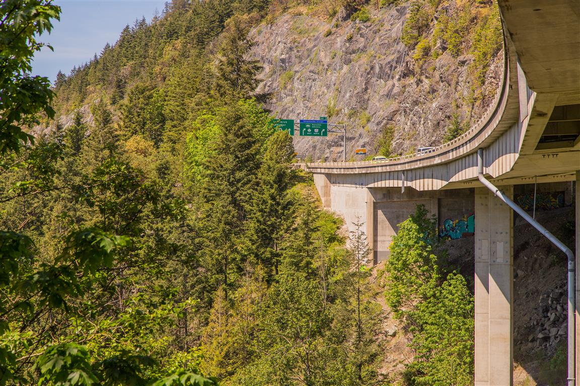 Nelson Creek Bridge