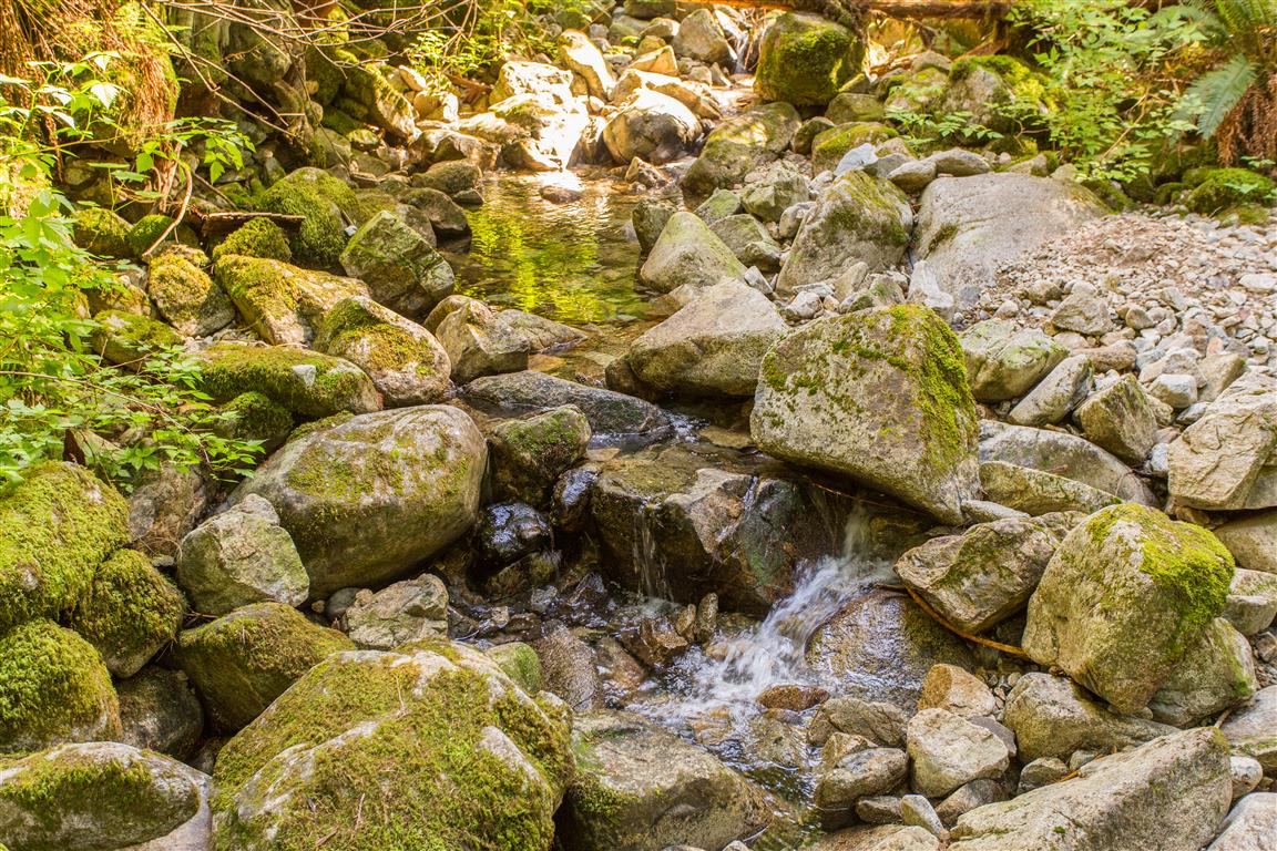 Nelson Creek