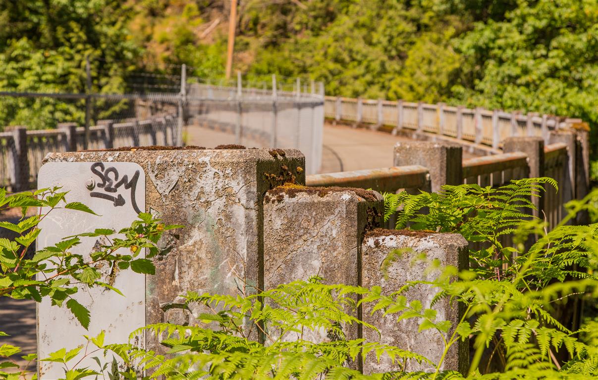 Old Nelson Creek Bridge
