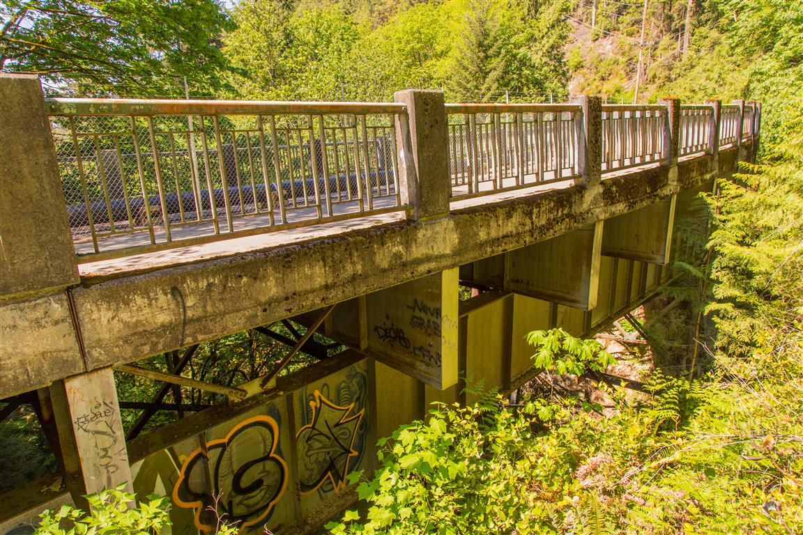 Old Nelson Creek Bridge