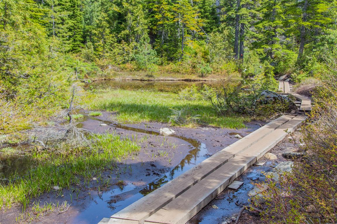 Planks along small lake