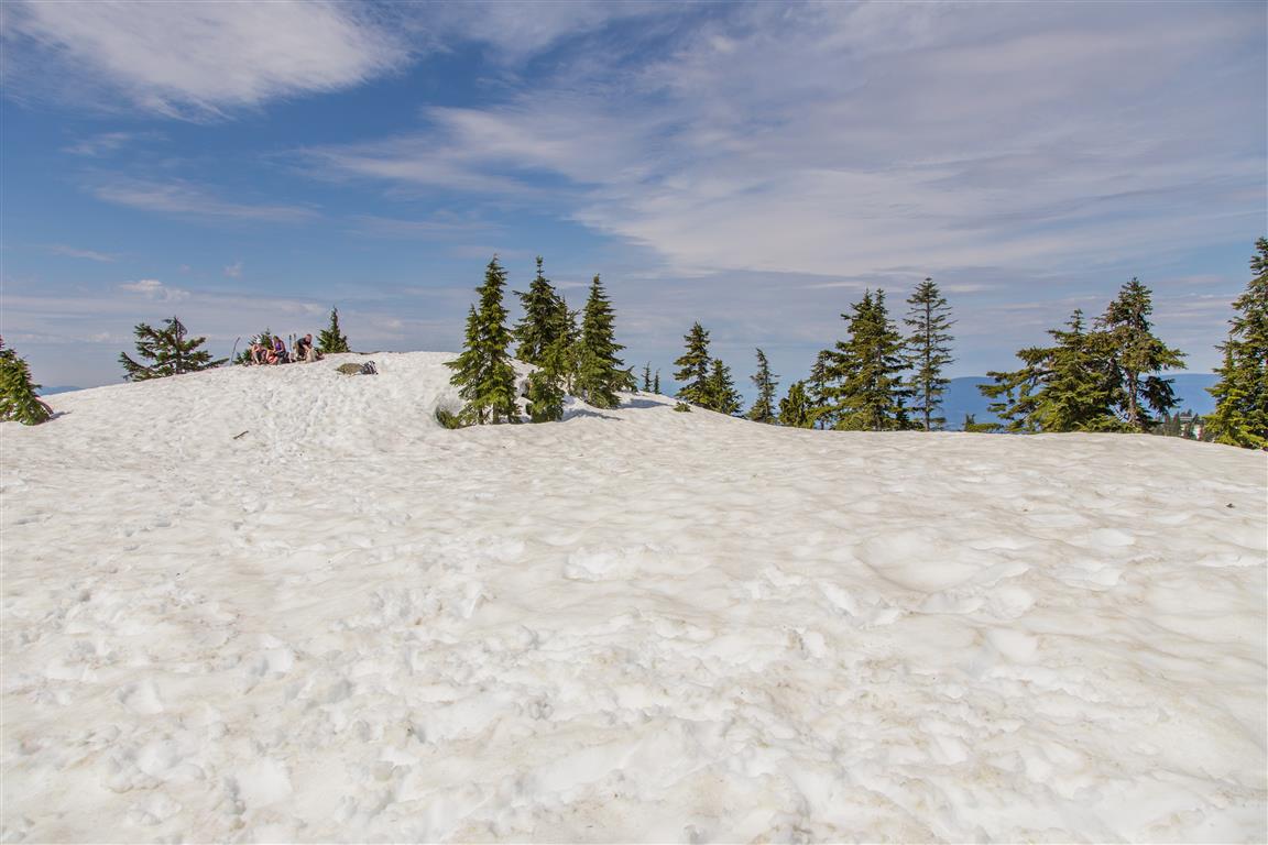 The summit