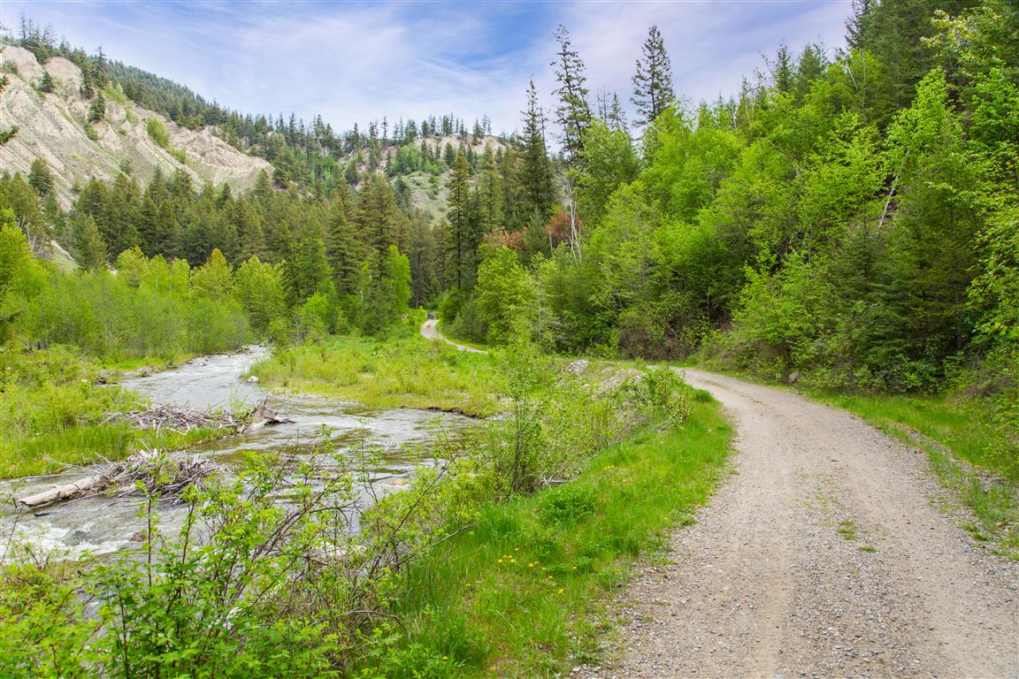 Trail pic