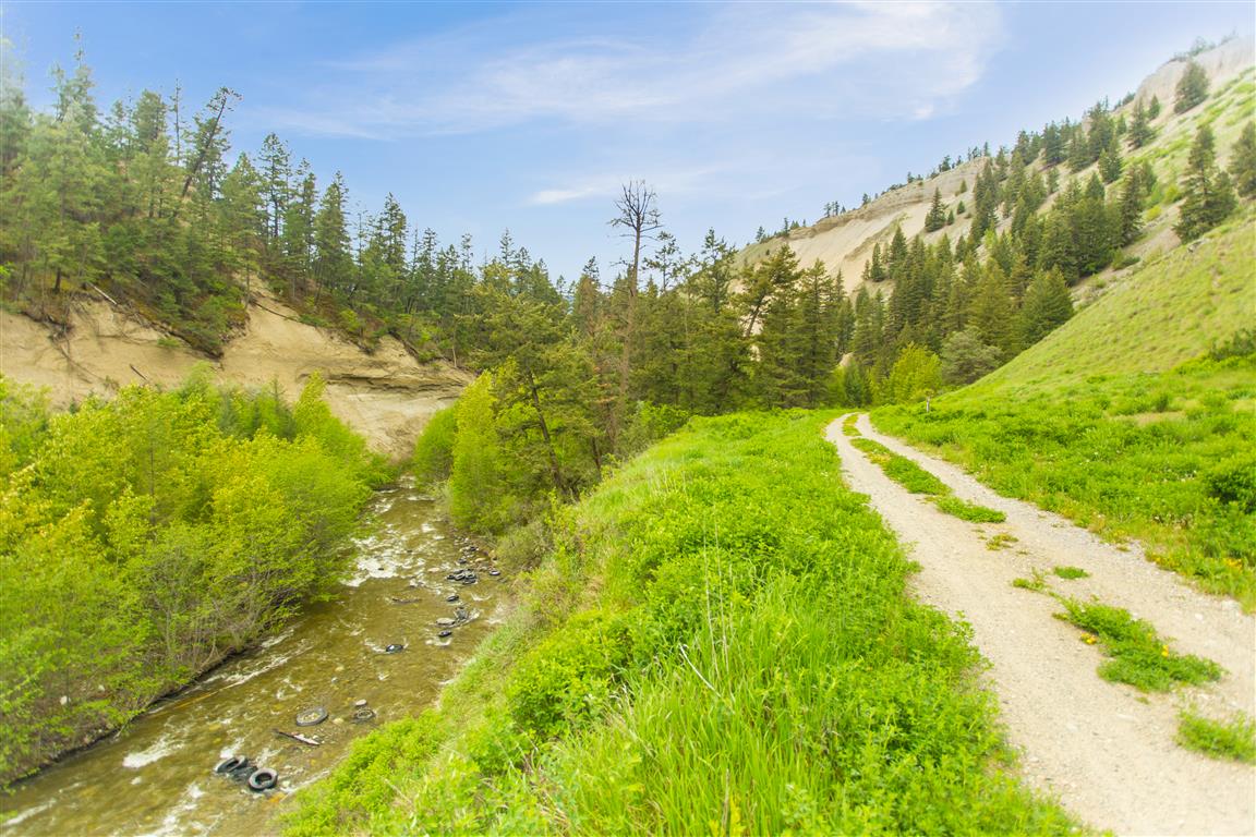 Trail pic