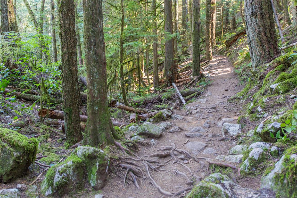 Trail pic