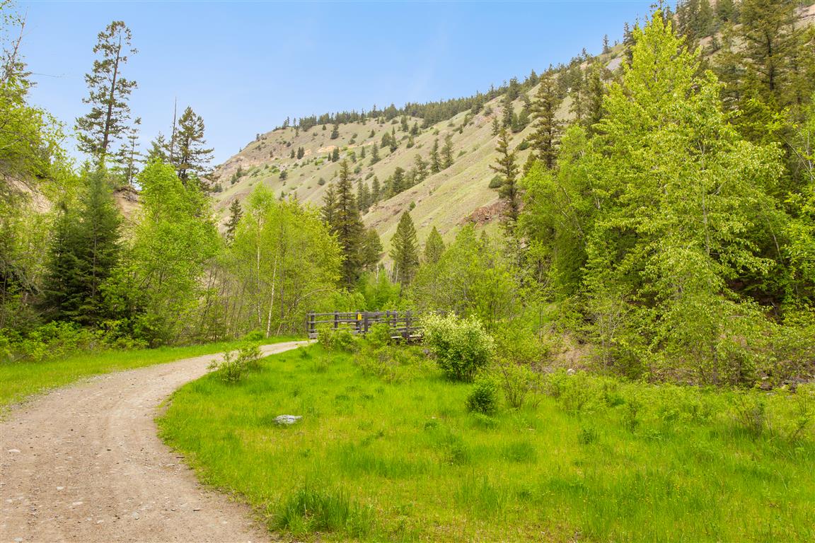 Trail pic
