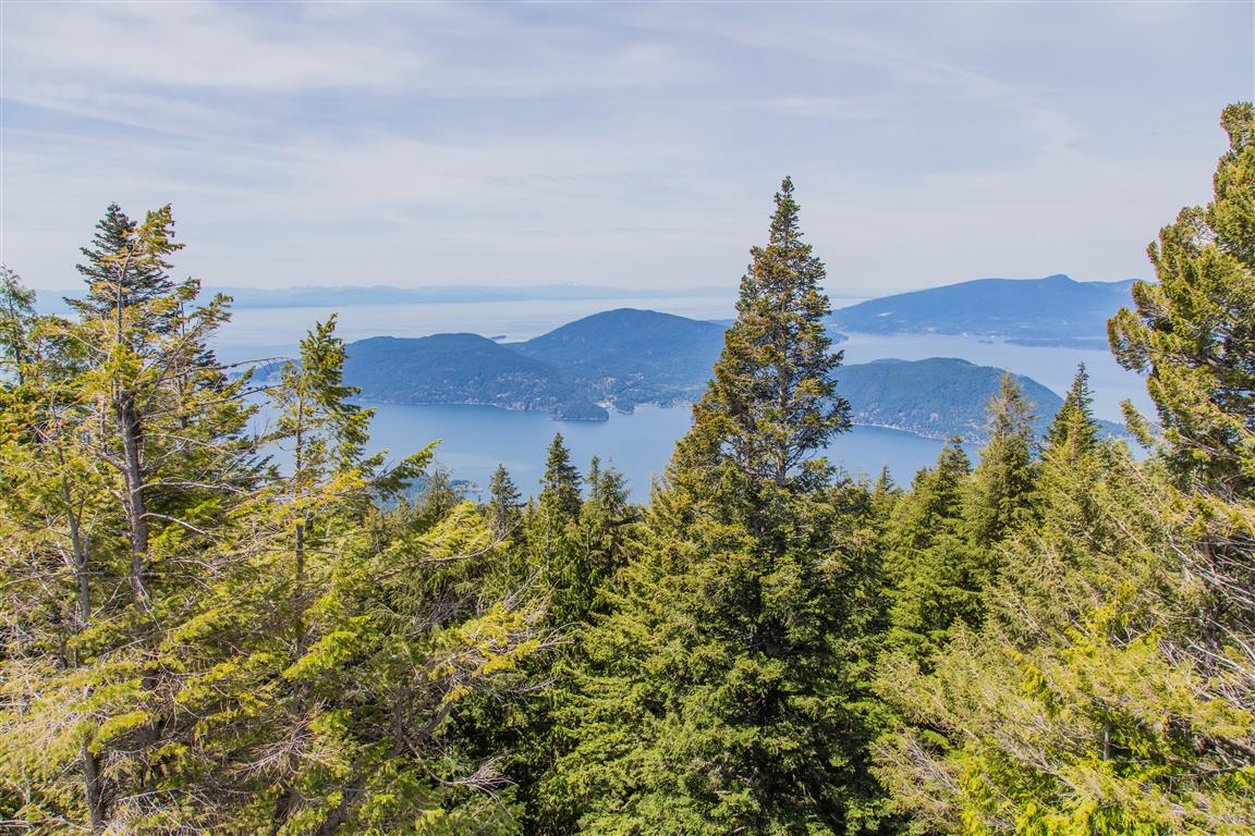 View from Donut Bluff