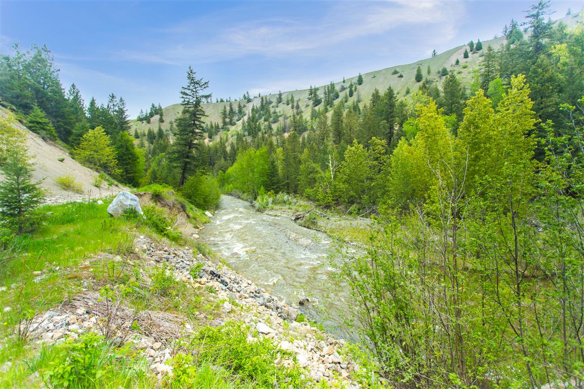 Williams Lake River
