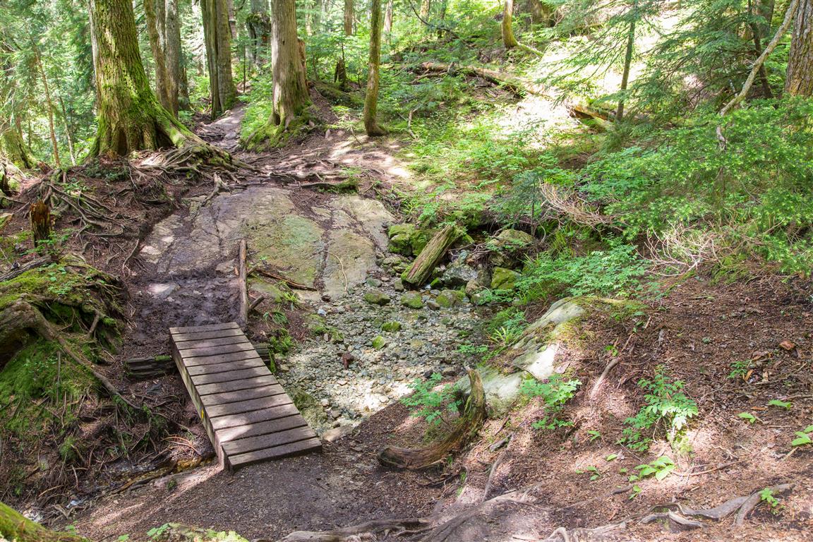 Little bridge