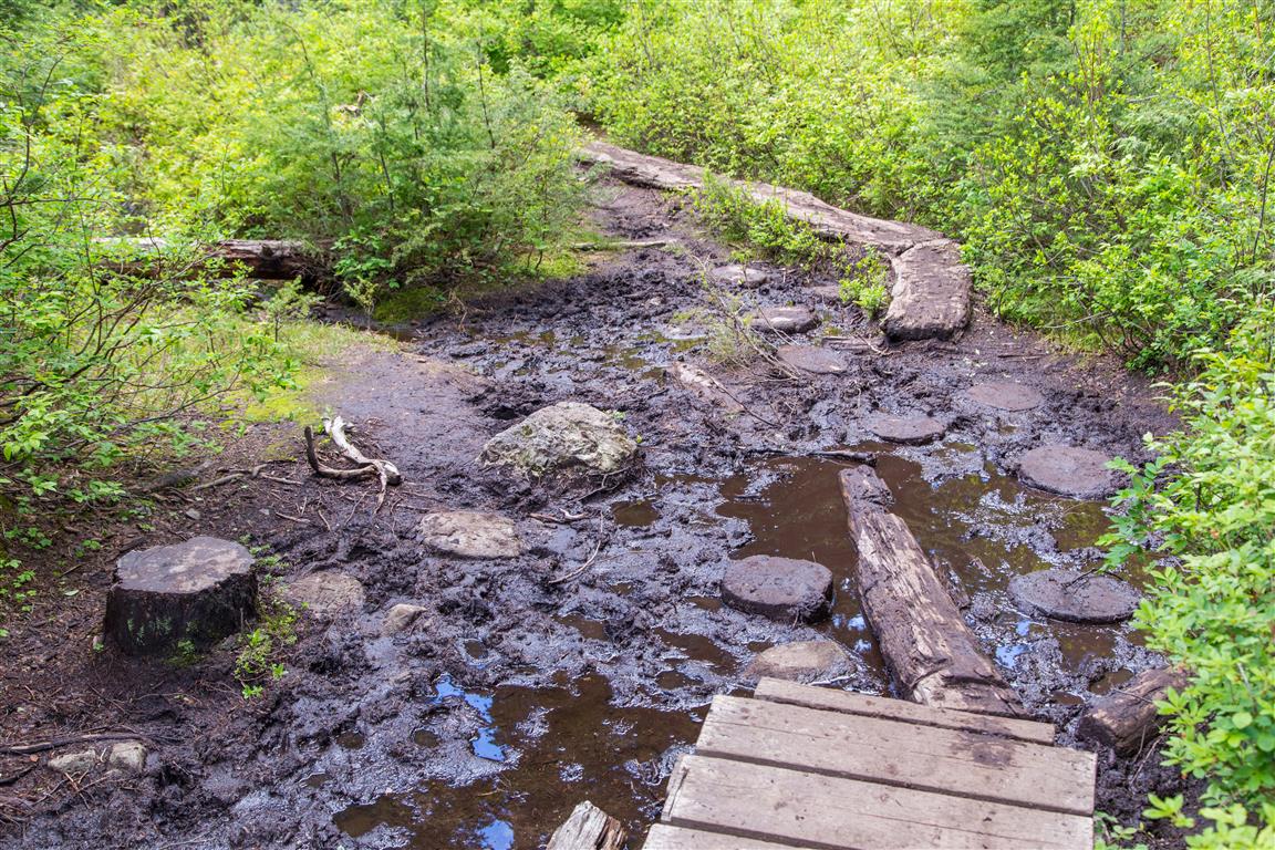 Muddy trail