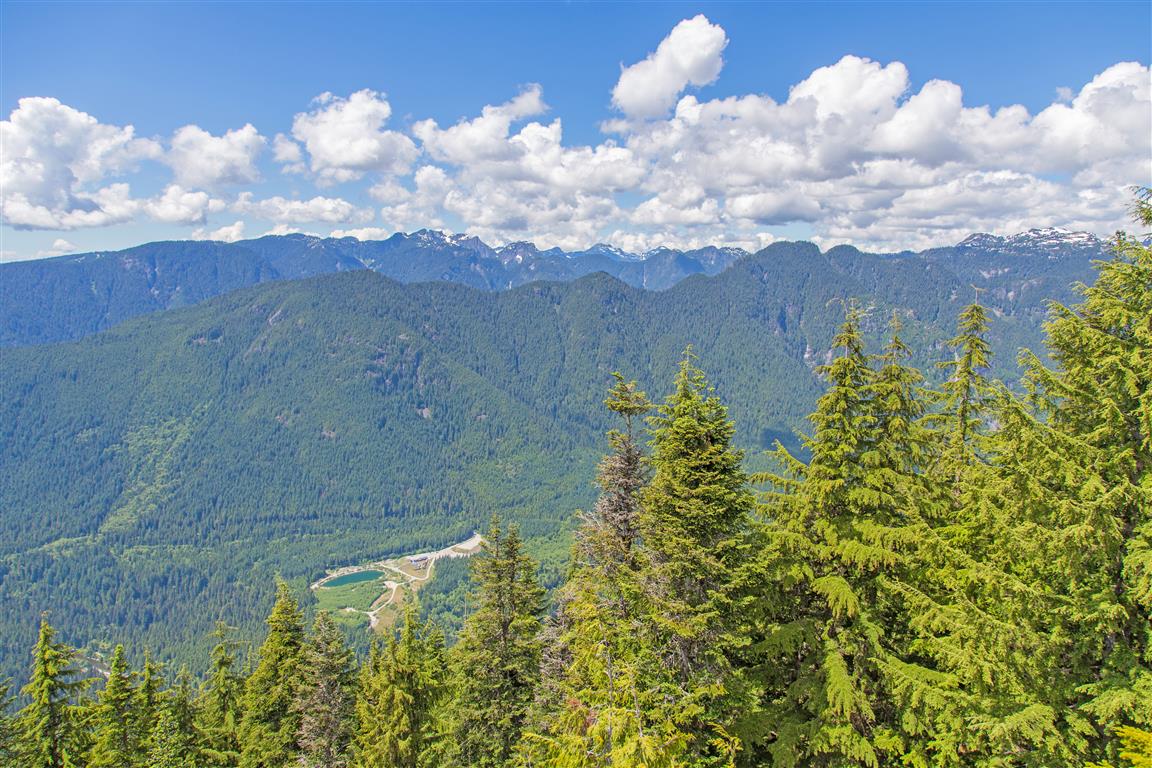 Seymour River Valley