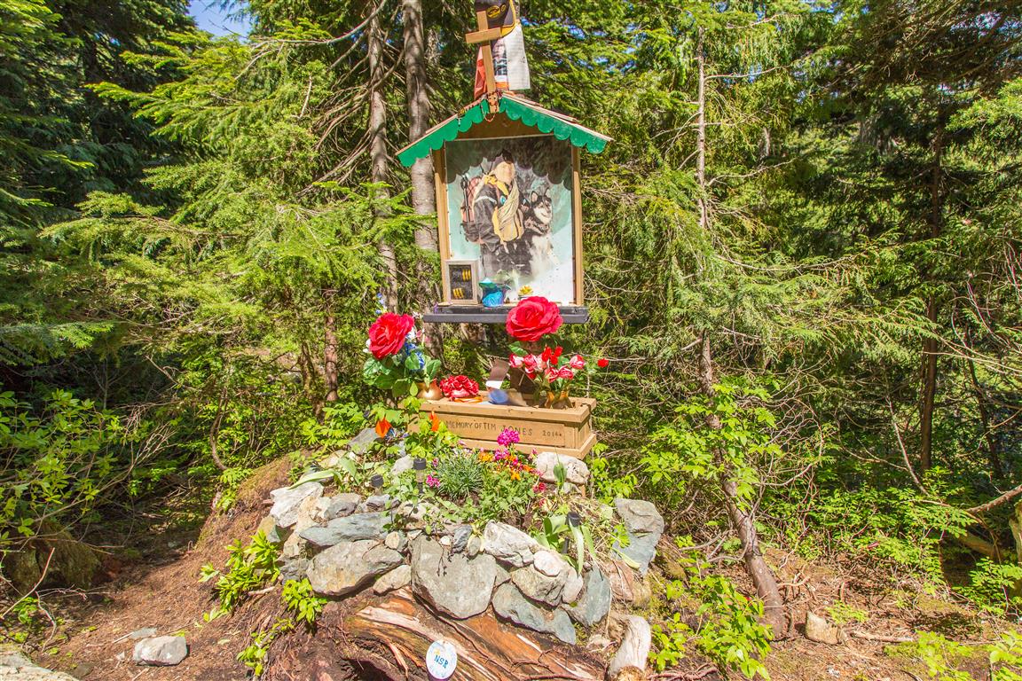 Tim Jones Memorial