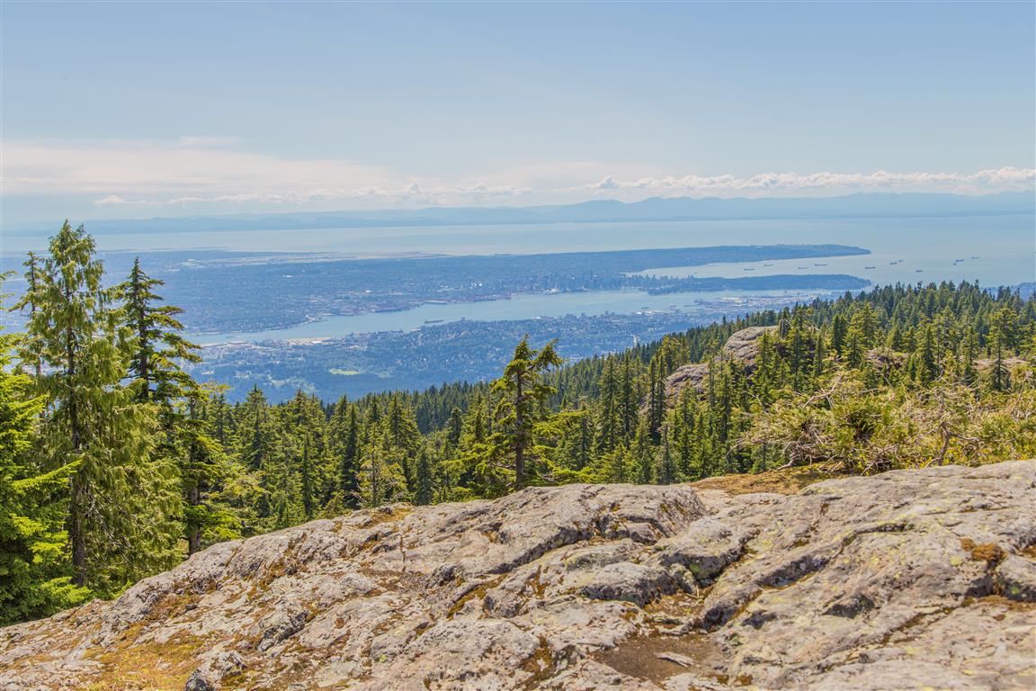 View of Vancouver Harbour from East Bluff