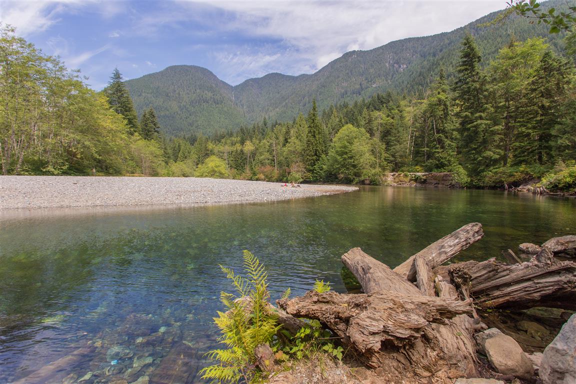 Gold Creek
