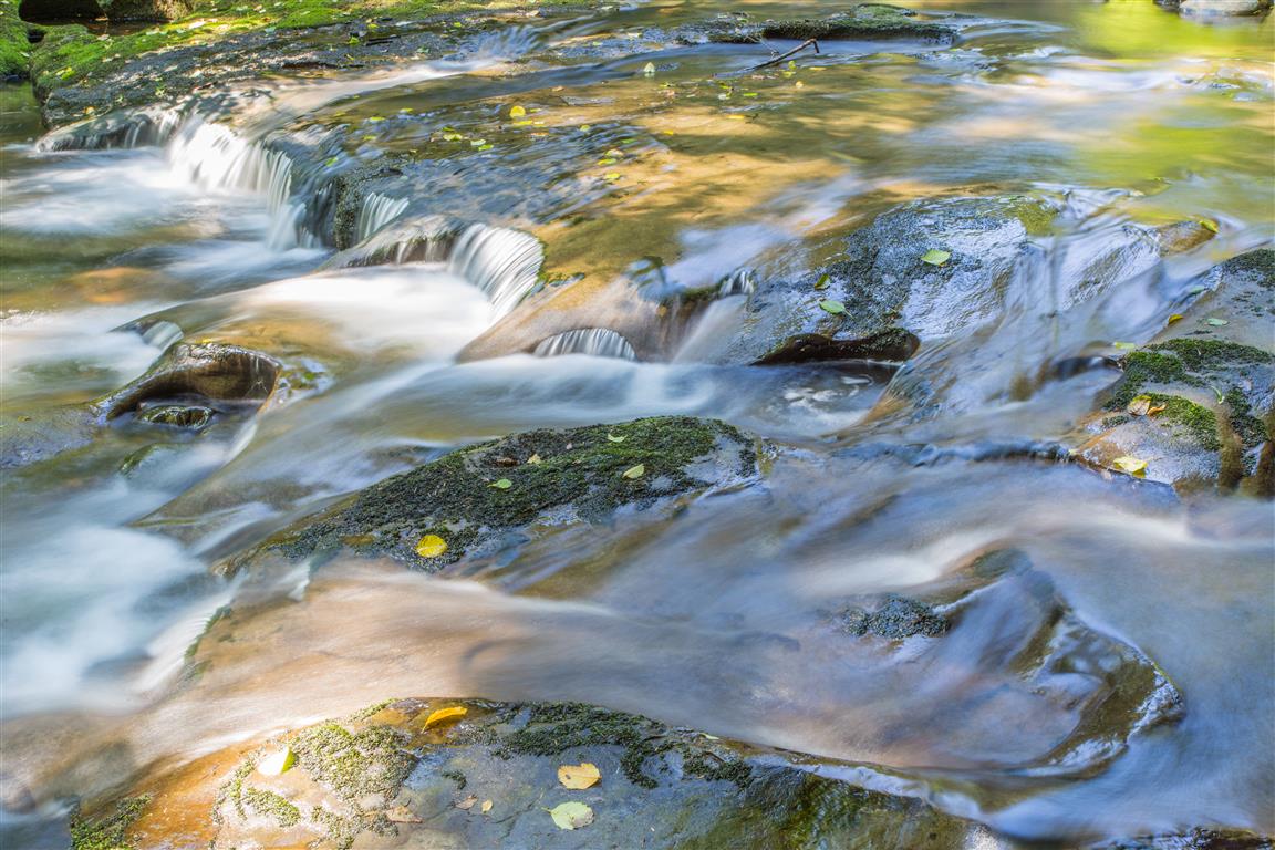 Kanaka Creek