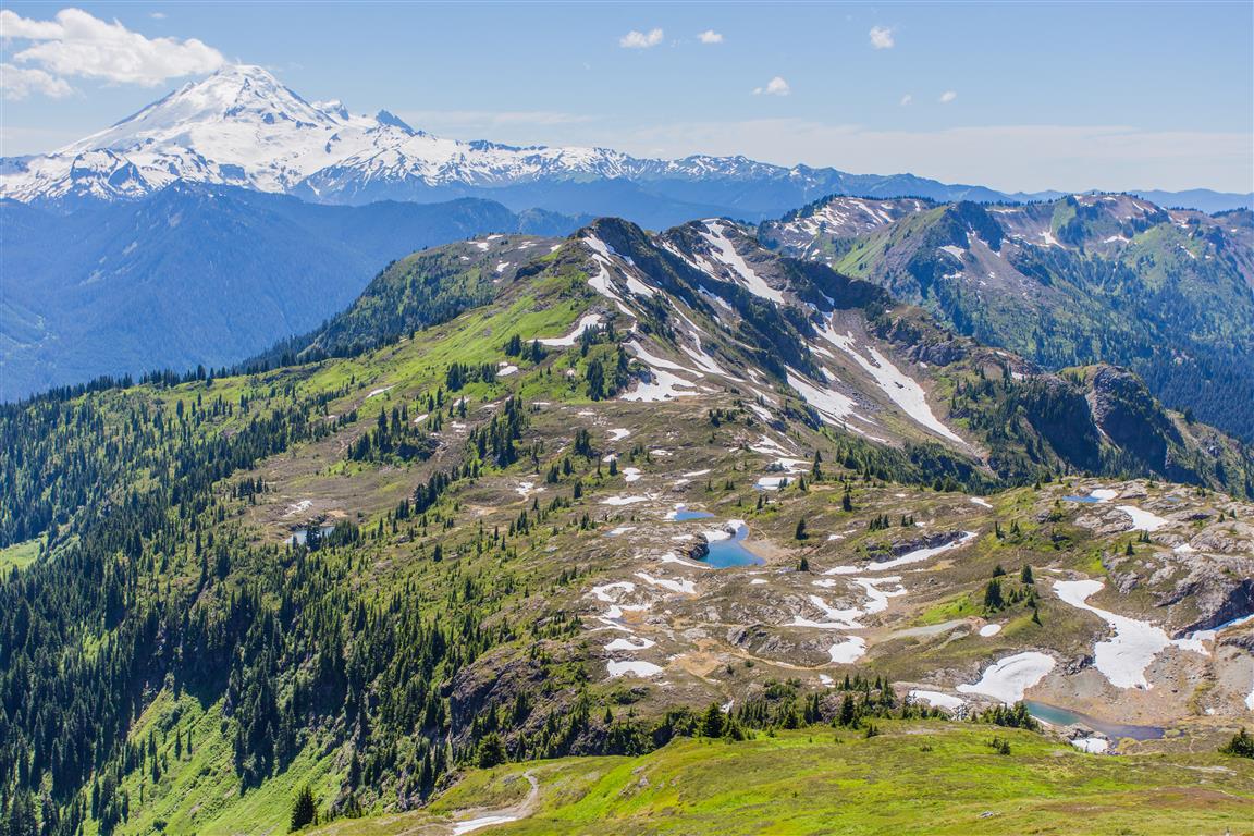 Mt. Baker