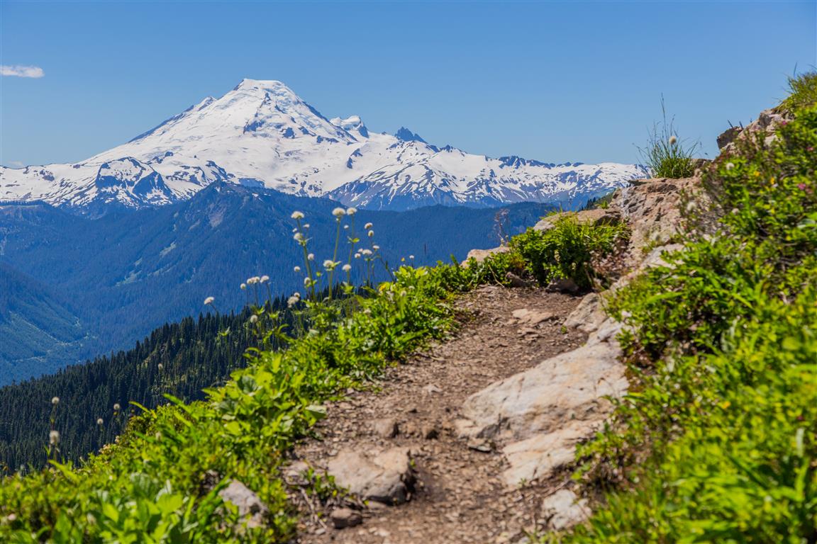 Mt. Baker from the Trail