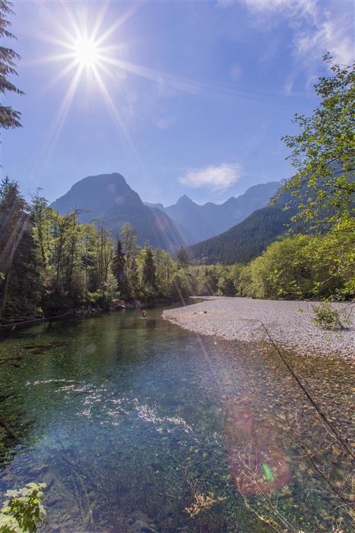 Sun shining over the creek