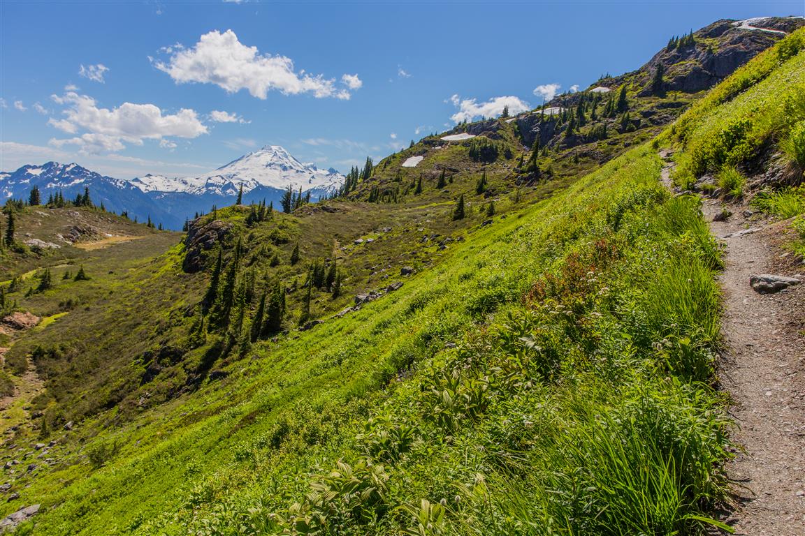 Trail
