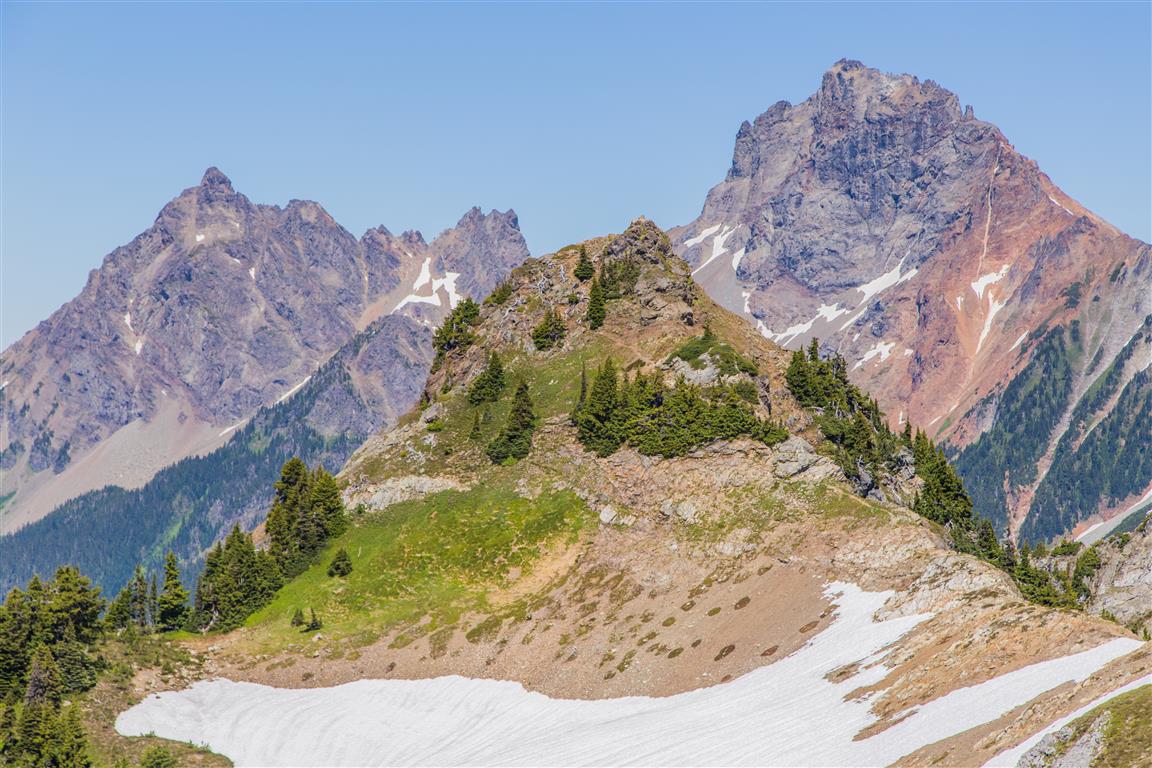 Yellow Aster Butte