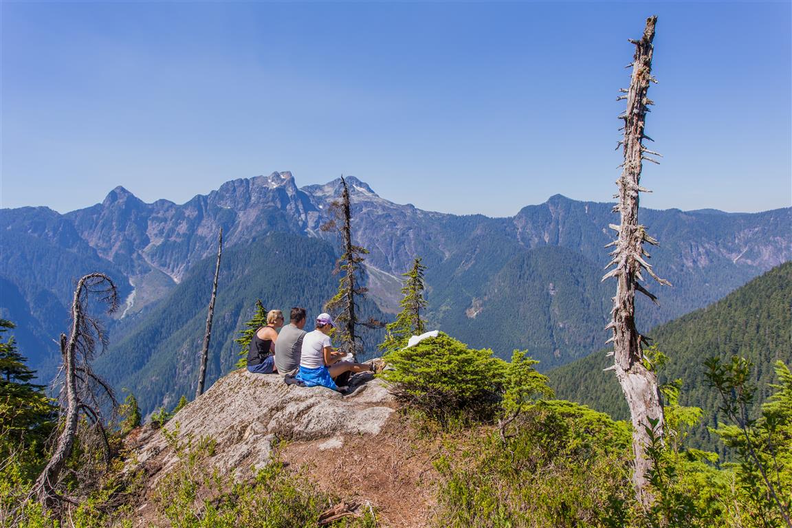Viewpoint