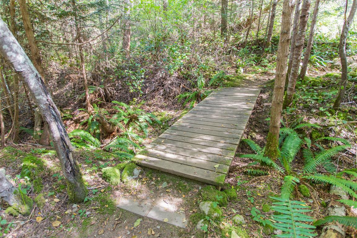 Little bridge