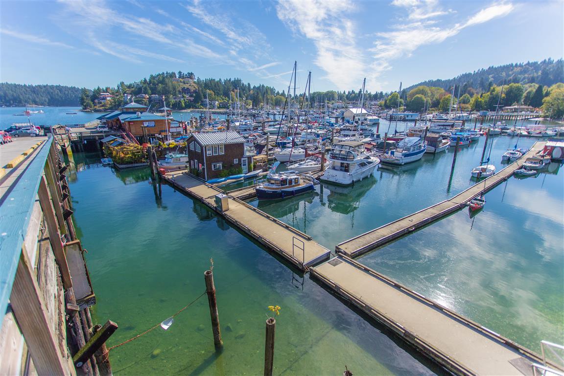 Gibsons Harbour