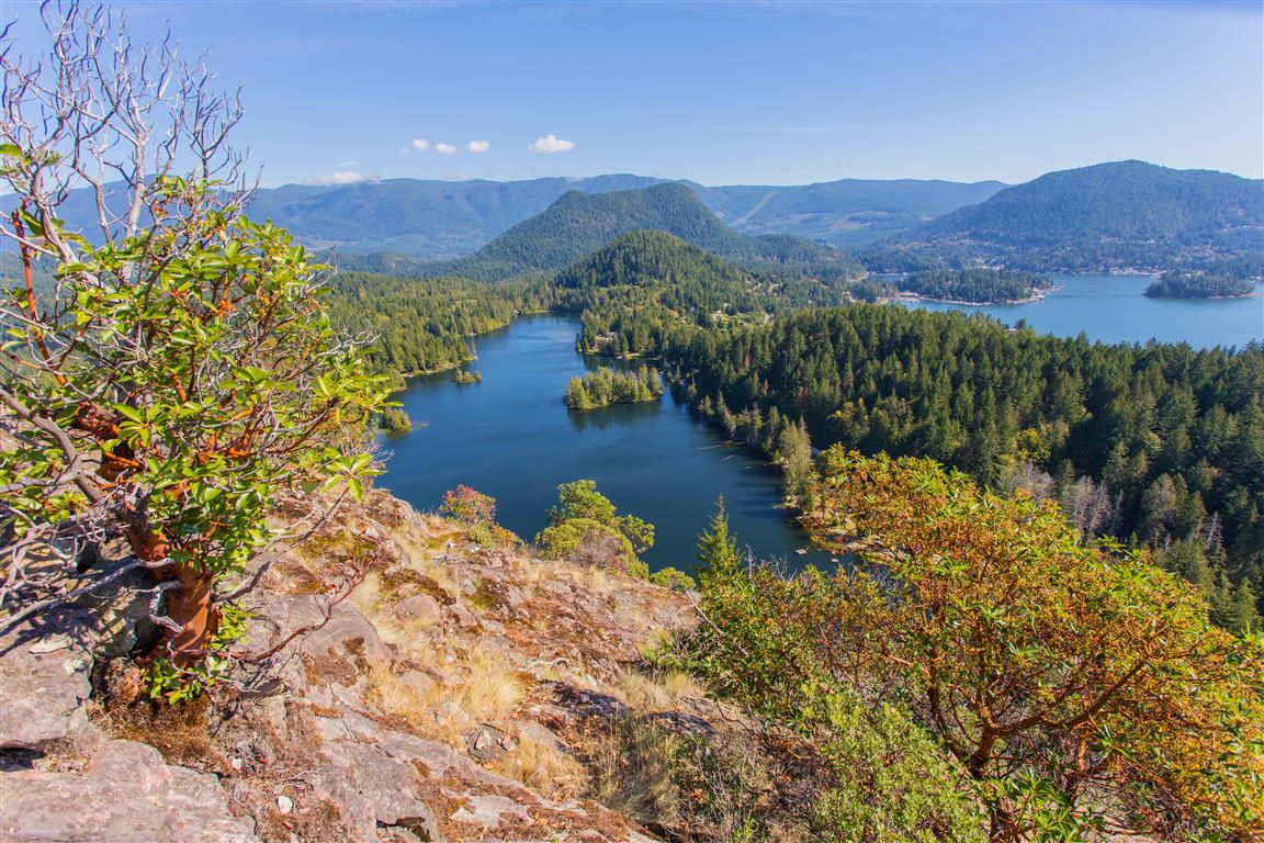 View from Pender Hill