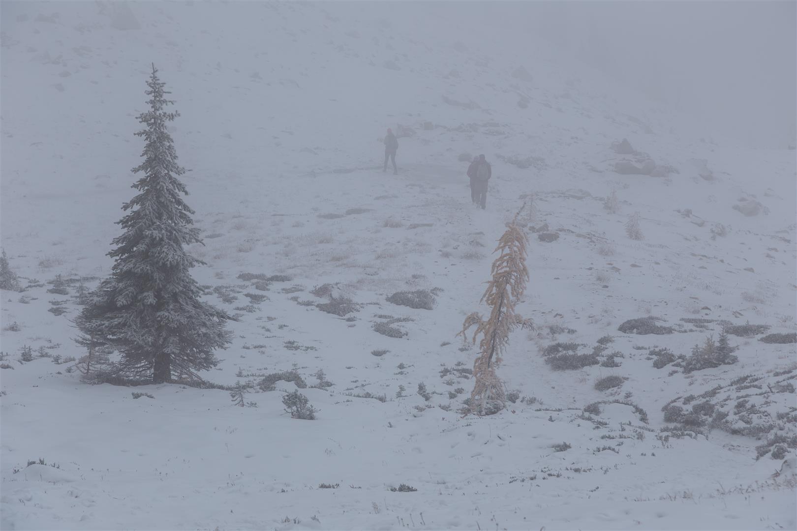 Cold and cloudy summit
