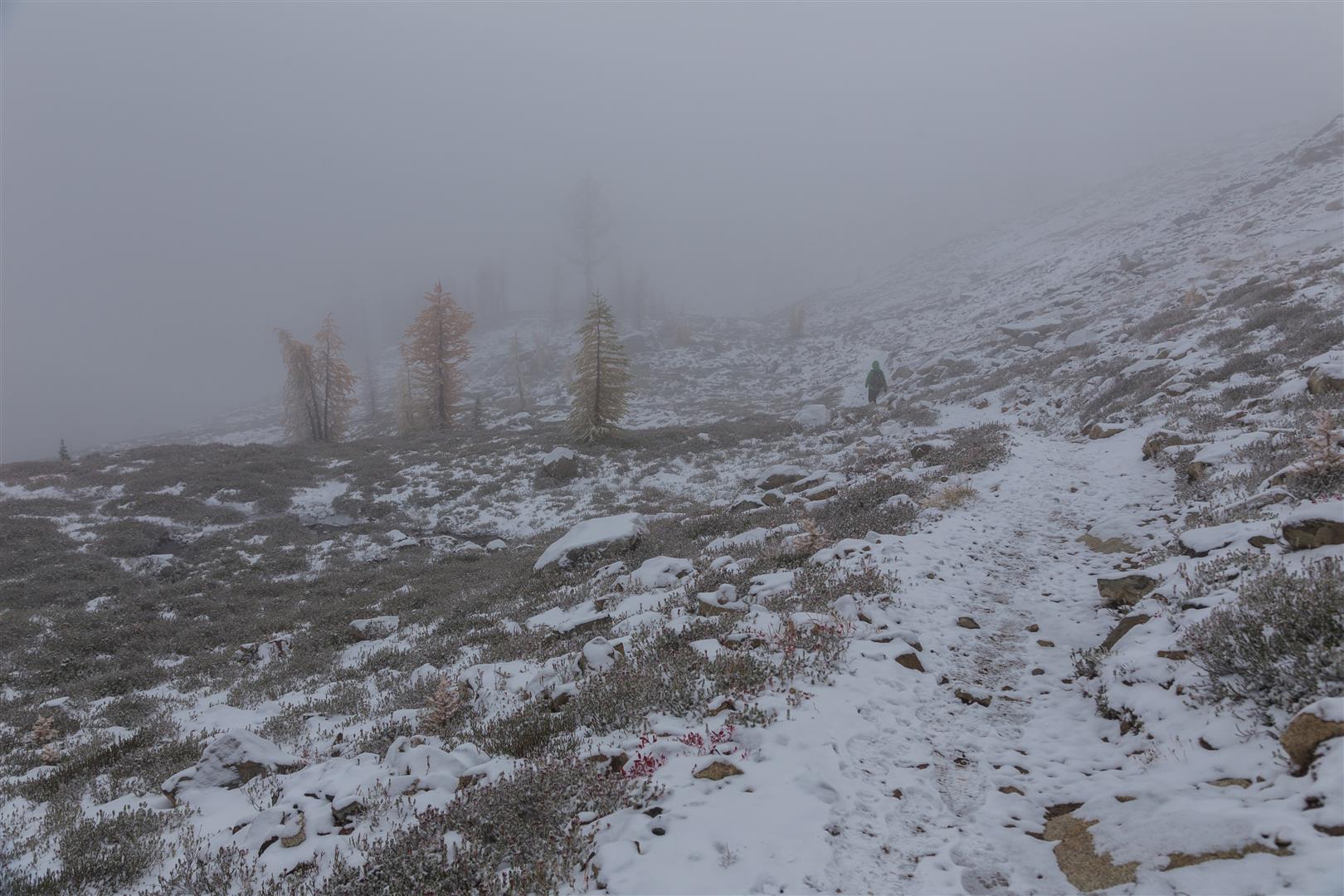 Snowy trail