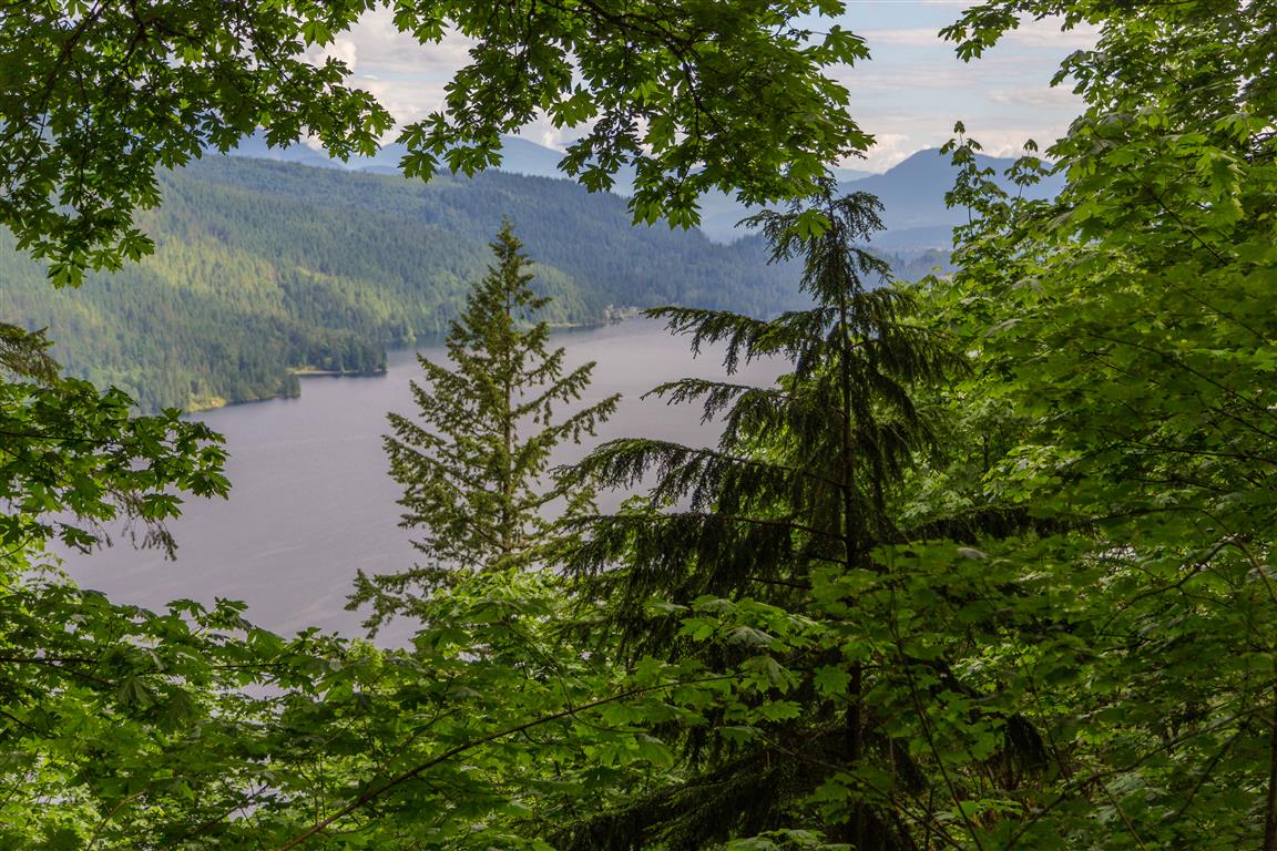 Cultas Lake