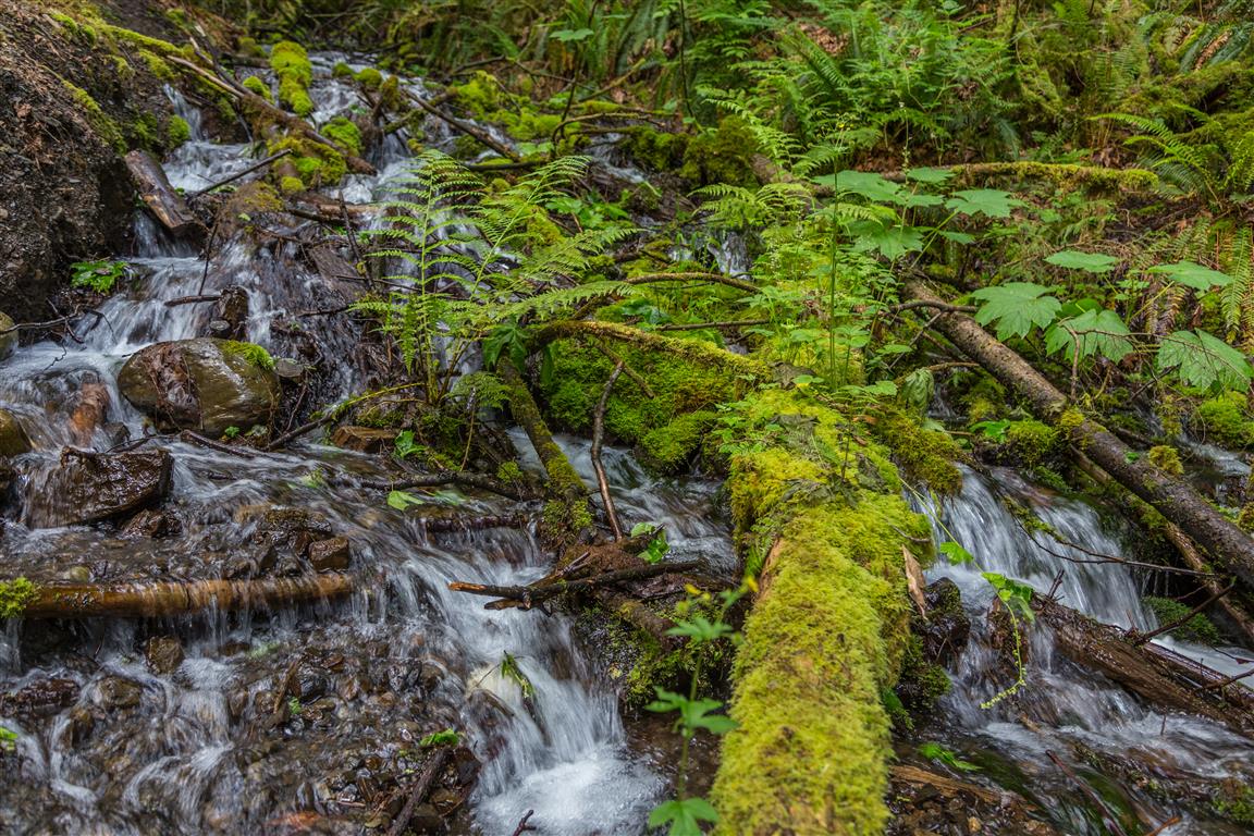 Stream