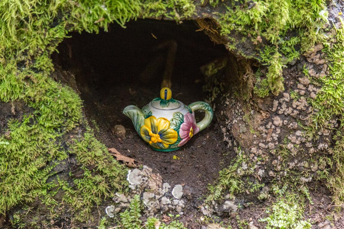 Teapot