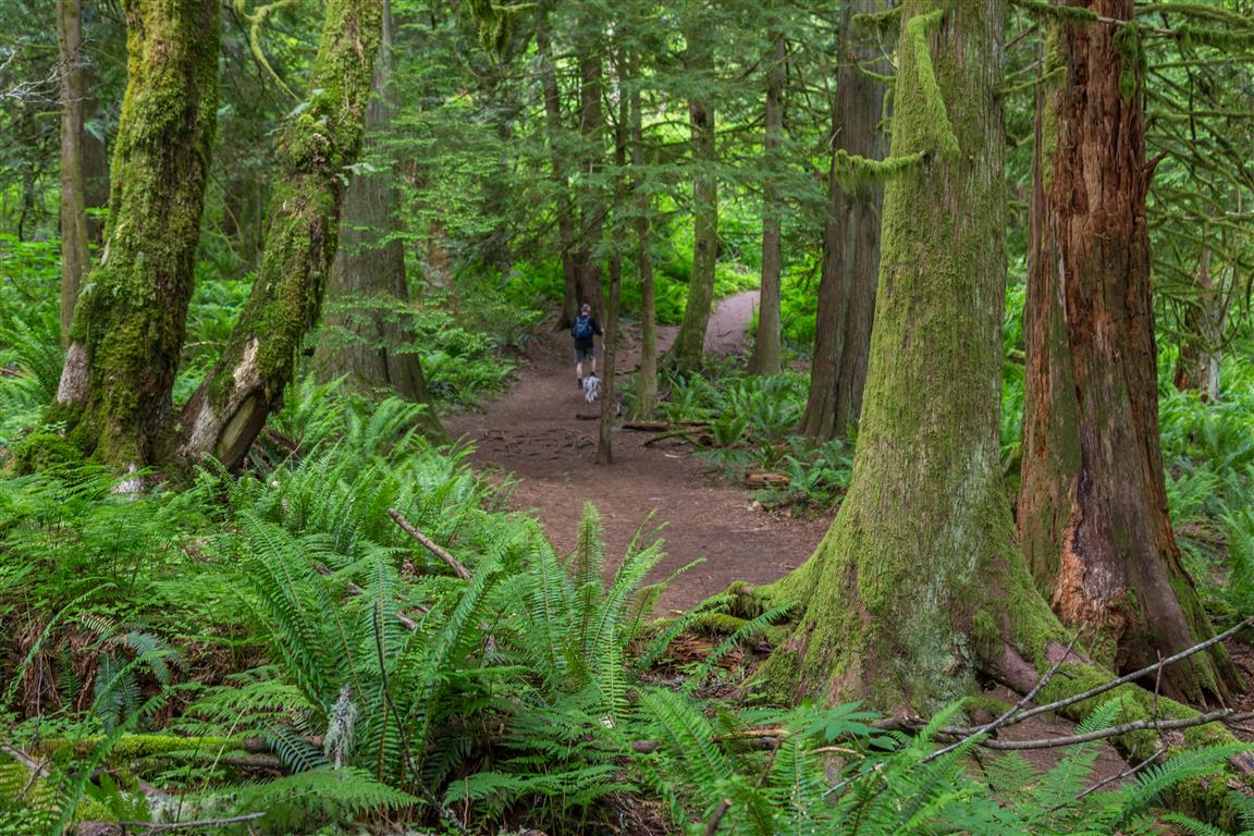 Trail 2