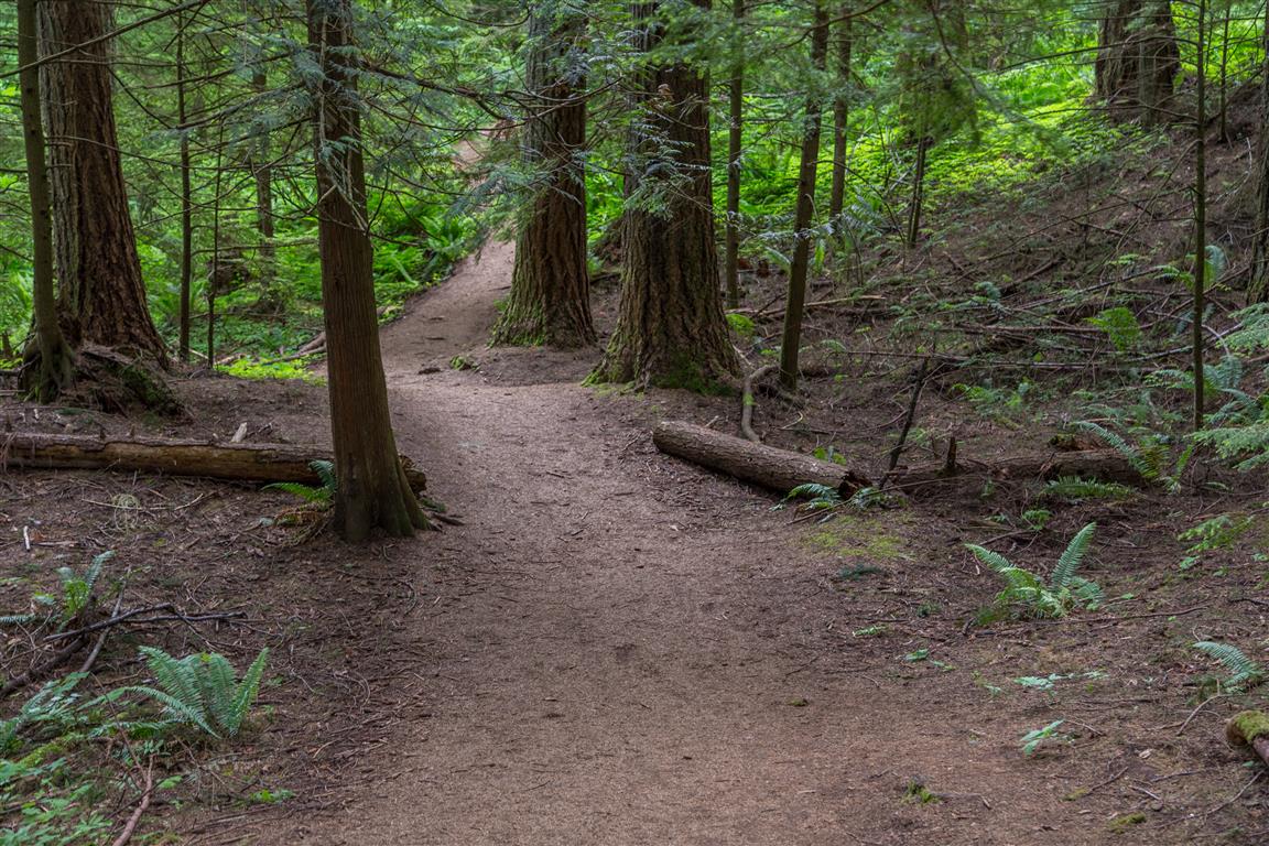 Trail 3