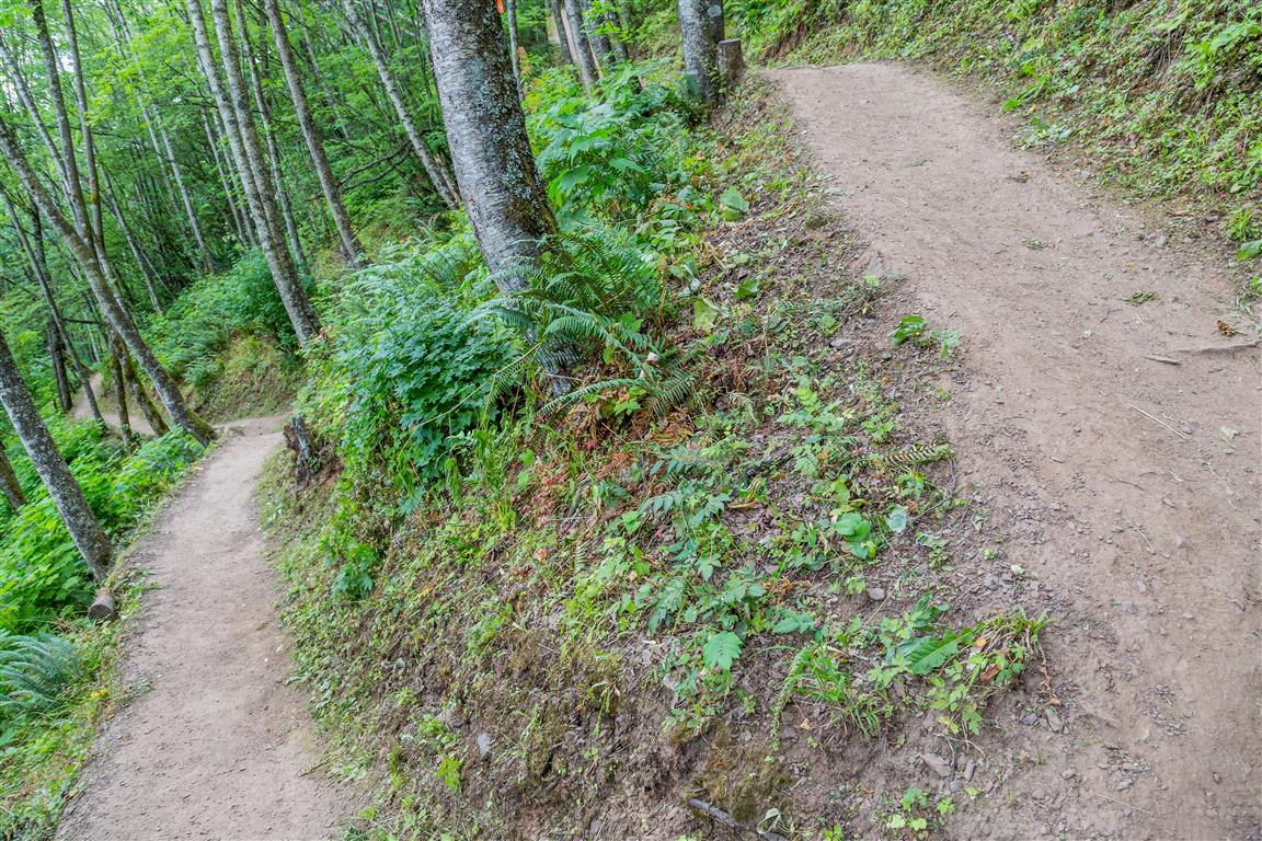Switchback