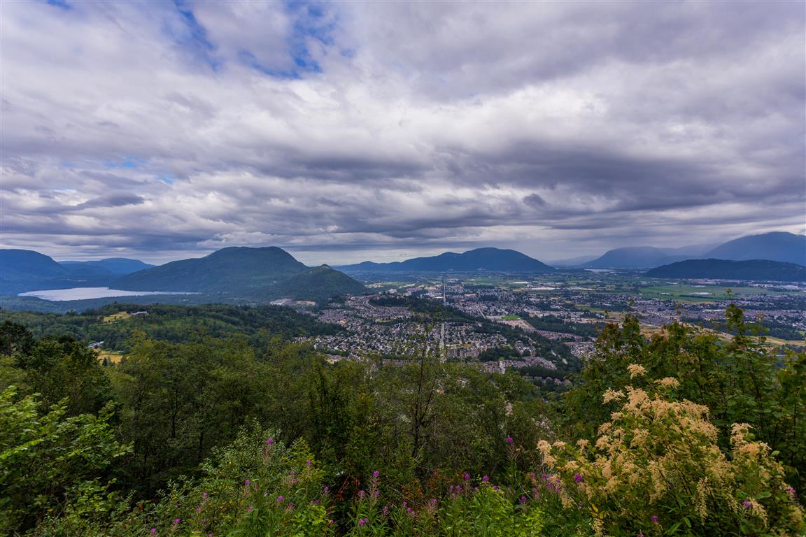 View from the top